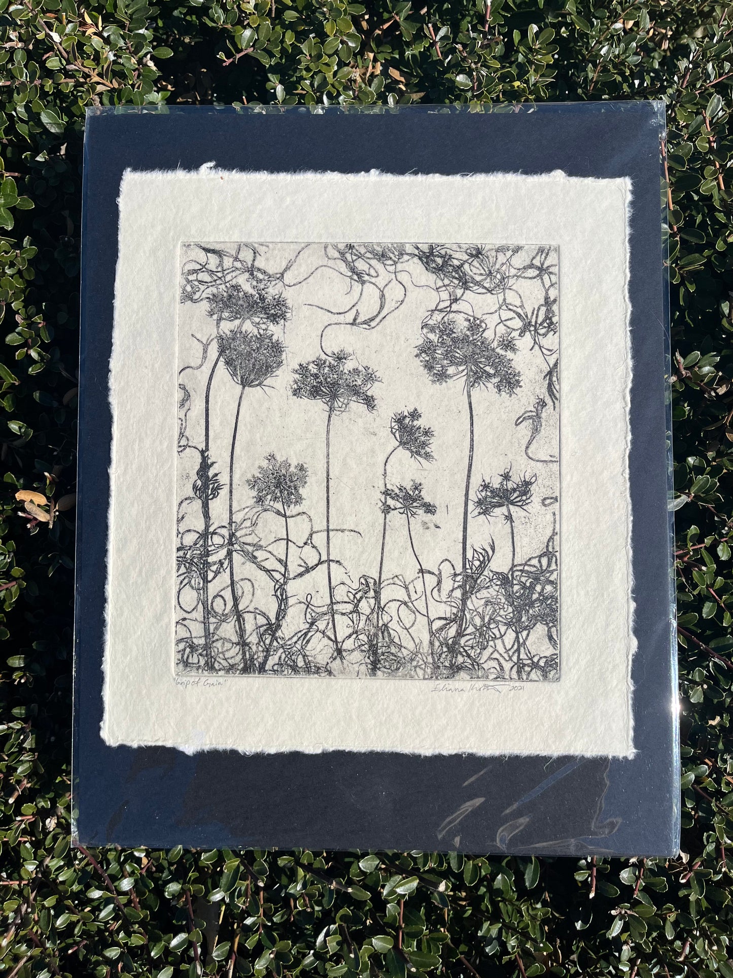 "Grip of Gaia" Etching