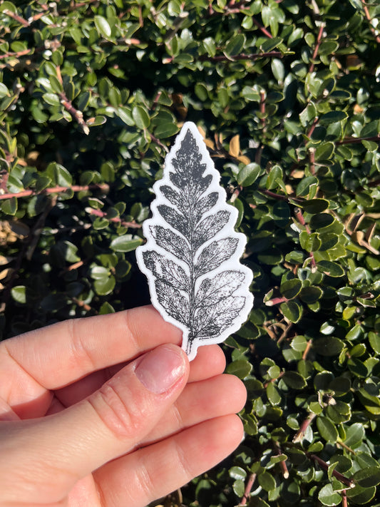 Black and White Etching Stickers